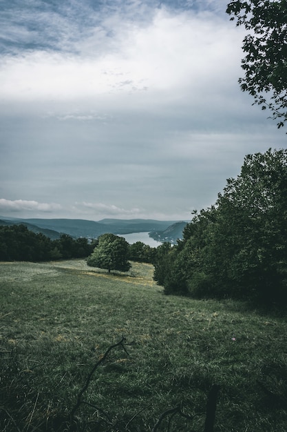 Vertical shot of a green field during evening time under the cloudy sky