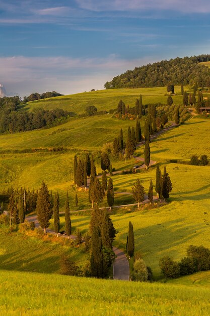 Vertical shot of green fields surrounded by hills in the countryside