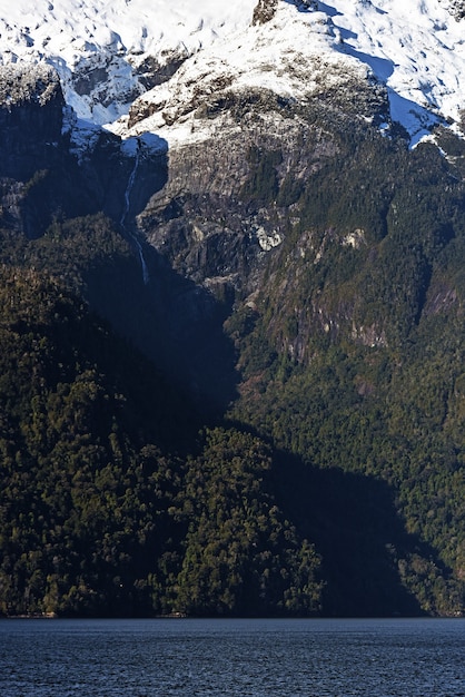 Vertical shot of green forests and snowy mountains near the lake