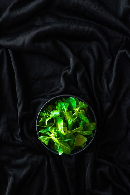 Vertical shot of green leaves canonigos and rucula, to make salads