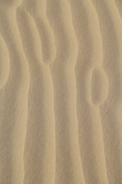 日光の下で砂で覆われた地面の垂直ショット