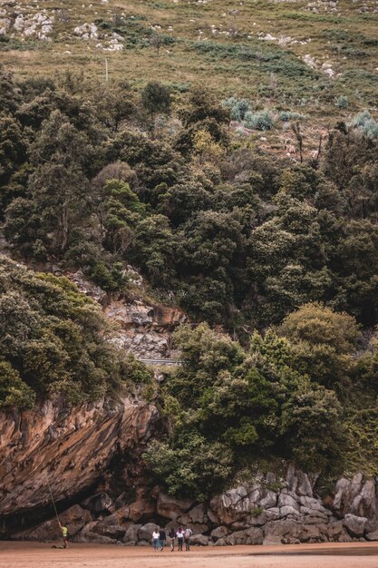 Vertical shot of a high hill covered with trees and plants