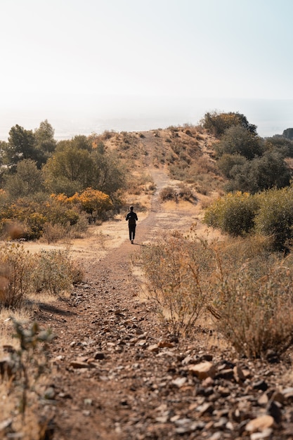 Vertical shot of a hiker going up a hill surrounded by trees and bushes