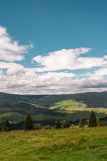 青い曇り空と日光の下で緑に囲まれた丘の垂直ショット