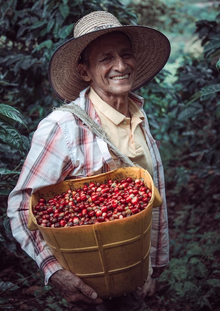 vertical shot of a hispanic male carrying a basket with cherry red coffee beans