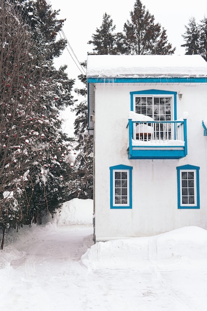 Foto gratuita colpo verticale di una casa ricoperta di neve bianca durante l'inverno