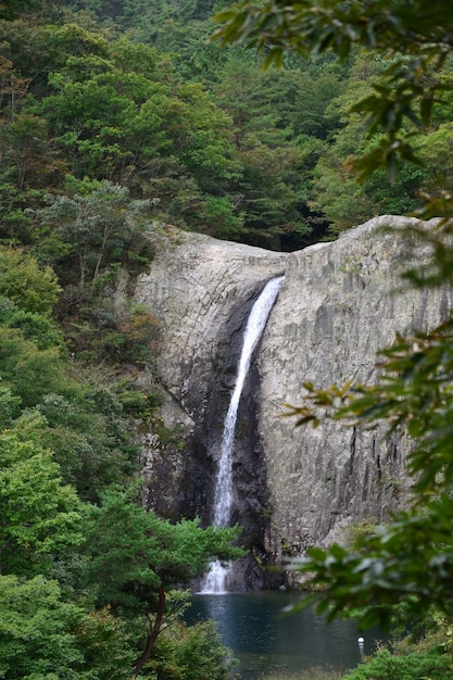 Vertical shot of Jikso Falls in Byeonsan Bando National Park