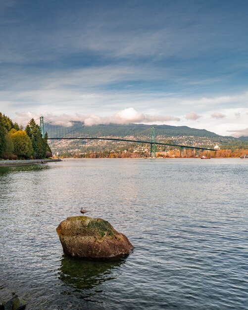 Вертикальный снимок озера в парке Стэнли в Ванкувере с видом на Lions Gate Bridge
