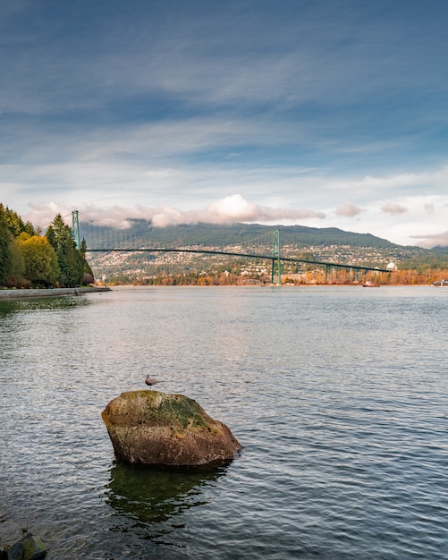 Вертикальный снимок озера в парке Стэнли в Ванкувере с видом на Lions Gate Bridge