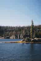 Free photo vertical shot of a lake surrounded by a forest