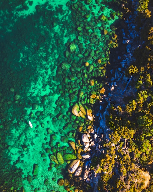 Vertical shot of Lake Tahoe stand up paddleboard