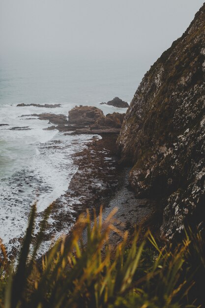 ナゲットポイントアフリリ、霧の背景を持つニュージーランドの大きな岩の垂直方向のショット