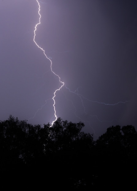 Vertical shot of lightning hitting a tree at night with a purple sky and trees in front