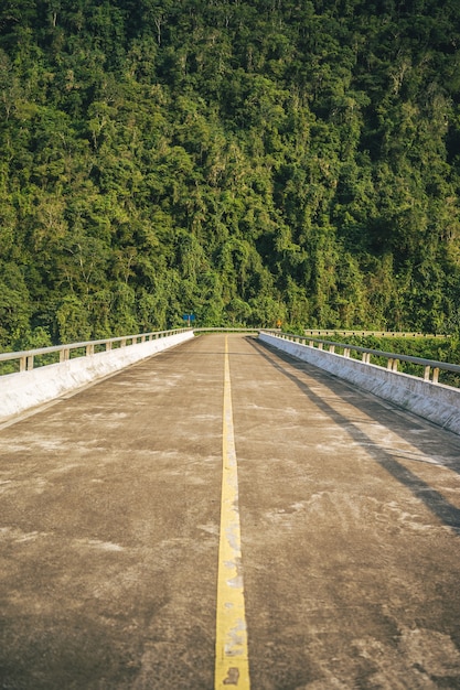 Vertical shot of a long bridge against a forest mountain