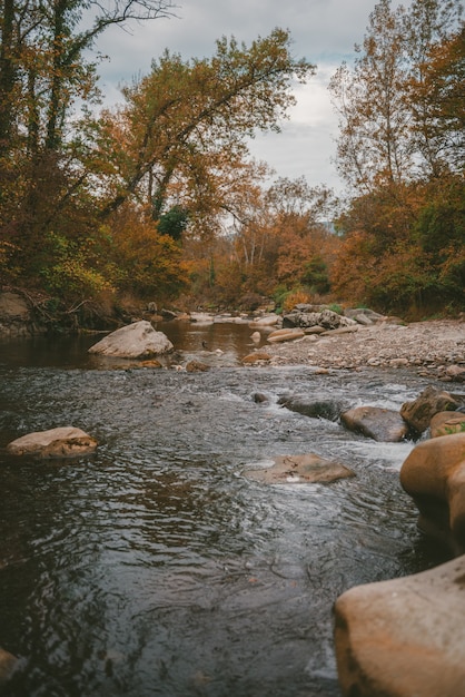 Vertical shot of a lot of rocks in a river surrounded by beautiful trees under the storm clouds