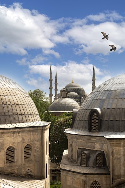 Vertical shot of a lovely Istanbul mosque, with a dome roof, and a beautiful cloudy sky with birds.