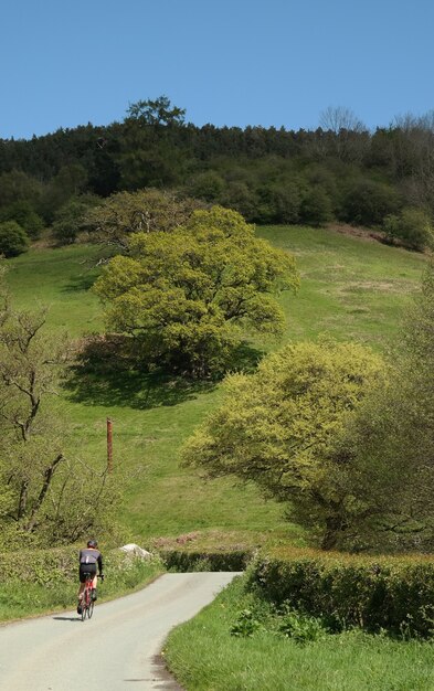 Vertical shot of a male riding a bicycle on a road surrounded by greenery