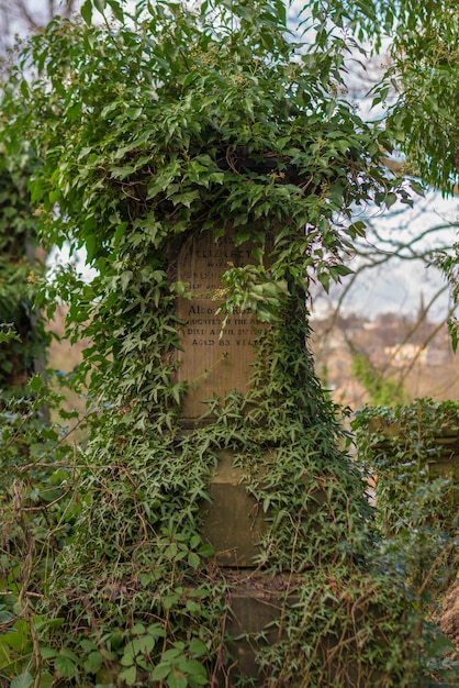 公園の木の枝で覆われた石で作られた記念碑の垂直ショット