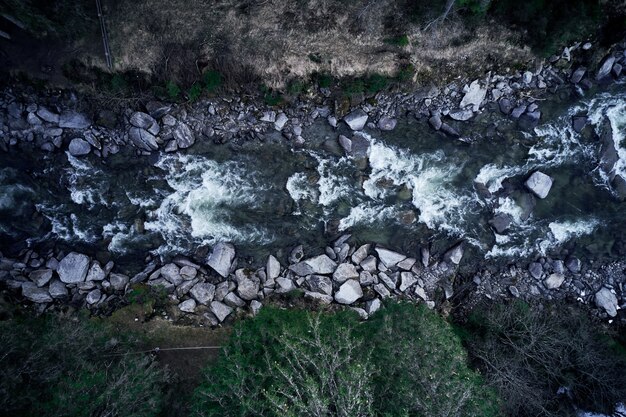 Vertical shot of a mountainous river surrounded by stones and trees