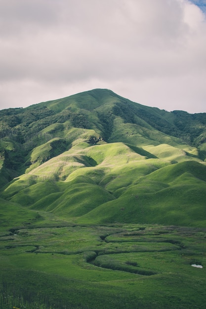 Вертикальный снимок гор, покрытых зеленью - идеально подходит для мобильных устройств