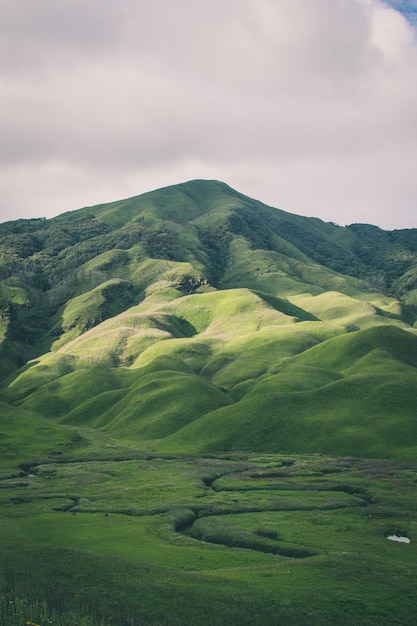 Vertical shot of mountains covered in greenery - perfect for mobile