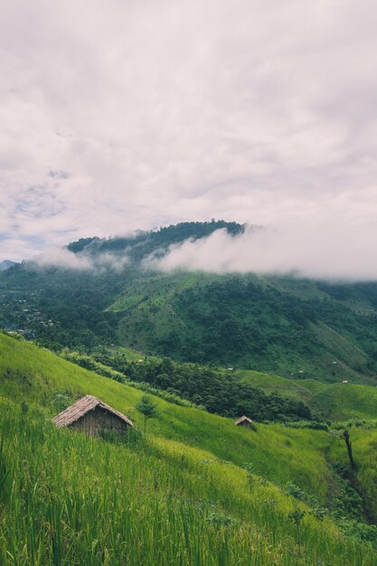 Vertical shot of mountains covered in greenery