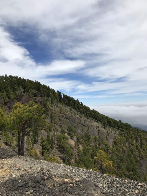 雲と青空の下で緑の木々で覆われた山の垂直ショット