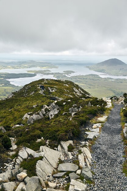 Vertical shot of a narrow pathway in Connemara National Park in Ireland under a cloudy sky