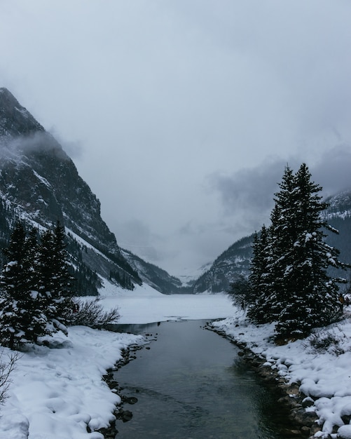 Vertical shot of a narrow river flowing near the mountains covered with snow