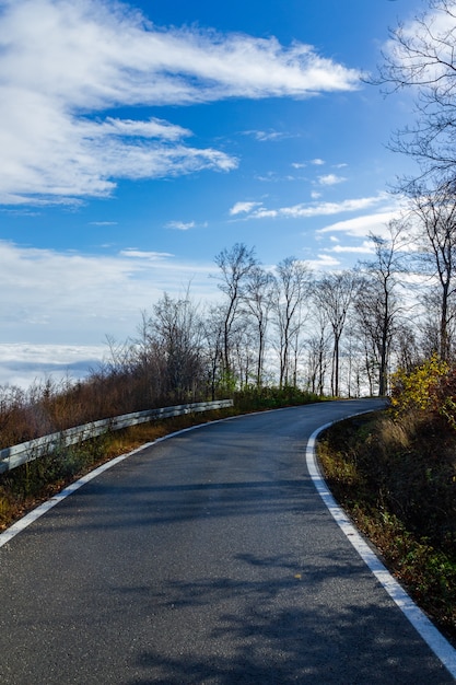 Foto gratuita colpo verticale di una strada stretta che conduce alla montagna medvednica a zagabria, croazia