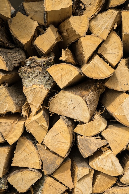 Vertical shot of oak and beech firewood