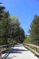無料写真 森の真ん中に木製のフェンスと通路の垂直ショット