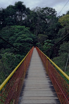 Вертикальный снимок деревянного моста, ведущего в лес