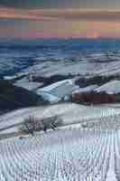 無料写真 田舎の丘に囲まれた雪に覆われたフィールドの垂直ショット