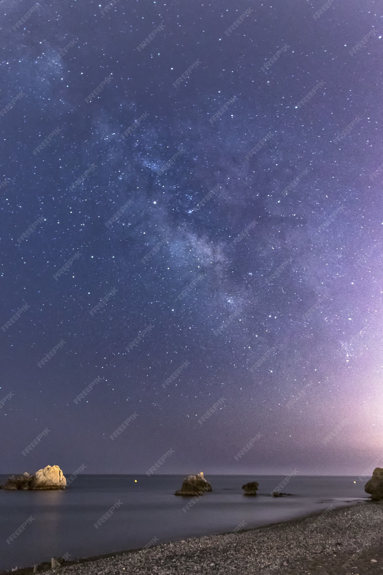Sea Stars 写真 2 000 高画質の無料ストックフォト