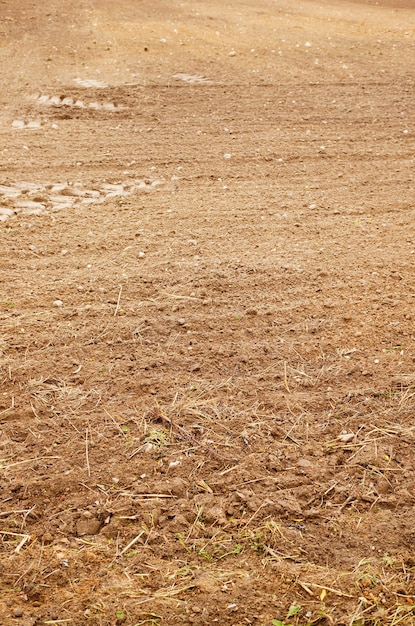 Бесплатное фото Вертикальный снимок сухой травы, растущей на почве