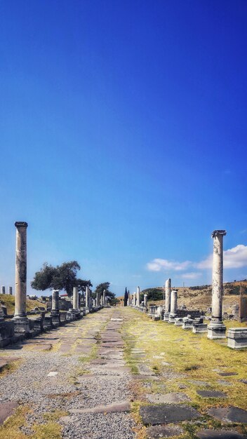 Vertical shot of old columns in the middle of a field