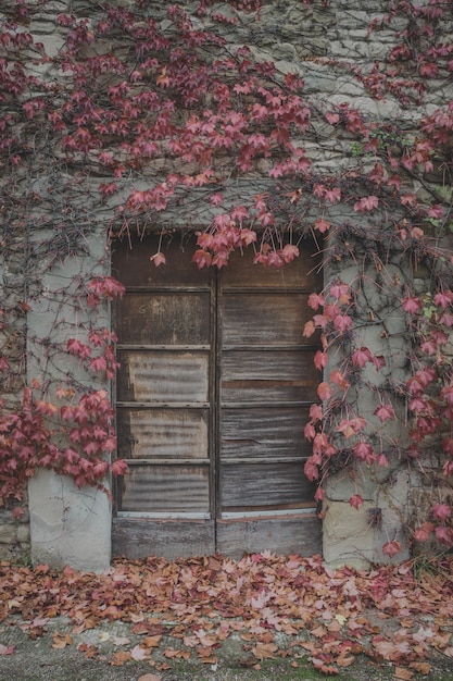 Vertical shot of an old house surrounded by autumn tree branches