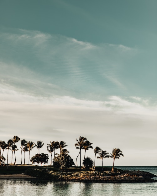 Free photo vertical shot of palm trees on an islet on the body of water under a blue sky