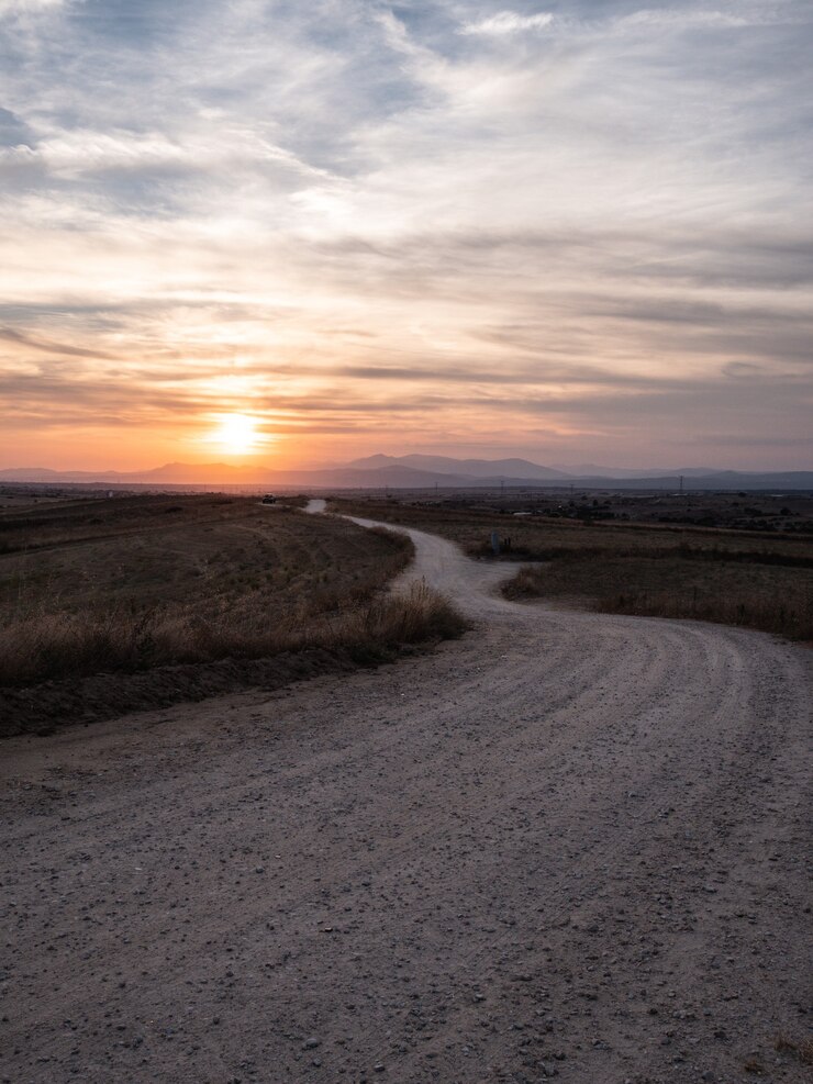 Free Photo vertical shot of a pathway in a grassy field with the breathtaking view of sunset in the