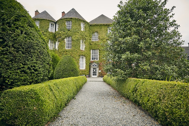 Free photo vertical shot of a pathway in kilkenny dukesmeadows