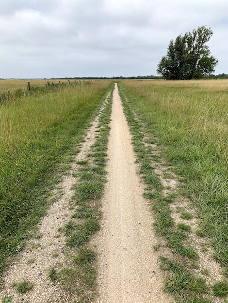 Vertical shot of a pathway in a meadow under a cloudy sky