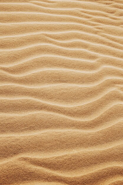 砂漠の砂のパターンの垂直ショット