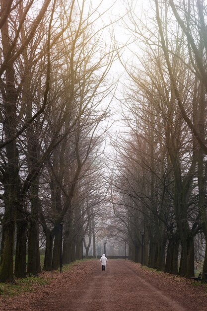 Vertical shot of a person on the walkway in the park full of naked trees