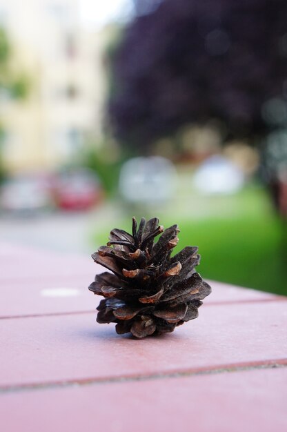 Vertical shot of a pine cone on a wooden table