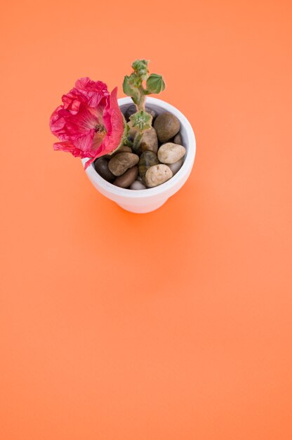 Vertical shot of a pink carnation flower in a small flower pot, placed on an orange surface