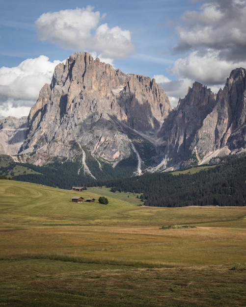 Free photo vertical shot of plattkofel muontain and wide pasture in compatsch italy