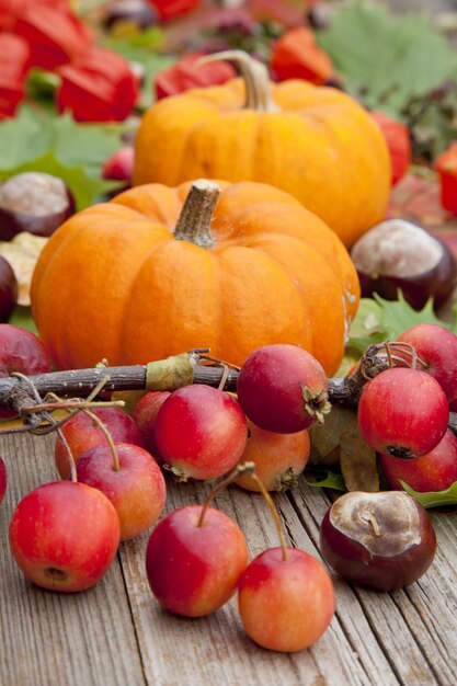 Vertical shot of pumpkins and fresh plums on a wooden surface