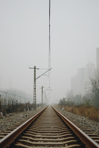 曇り空の下での線路の垂直ショット