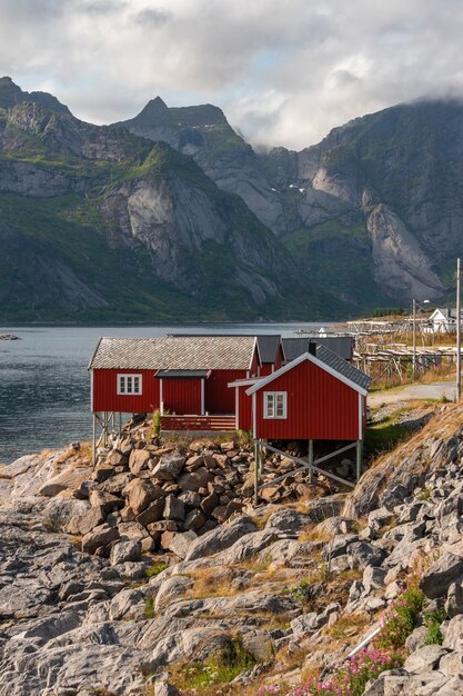 Hamnøy, Lofoten Islands, Norway의 해안선에있는 빨간 오두막의 세로 샷